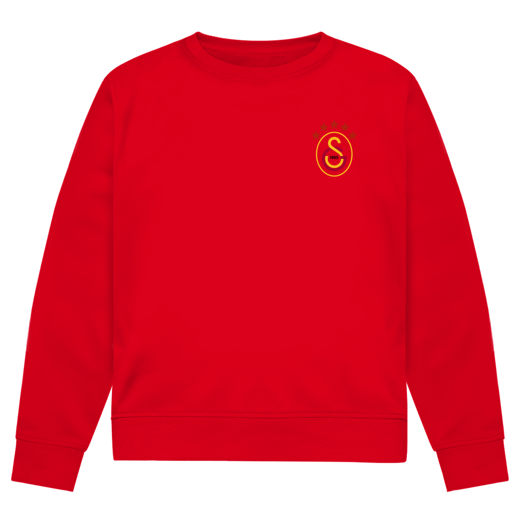 GS RETRO - SWEATER